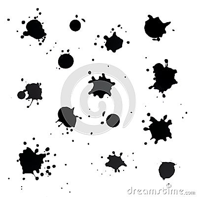 Black Paint Splatter on White