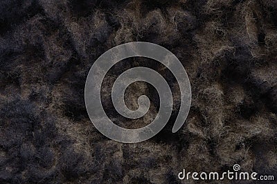 Black sheep fur