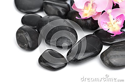 Black spa stones isolated