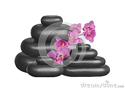 Black spa stones and pink orchid isolated