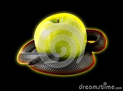 Black temptation snake coiling around a green apple