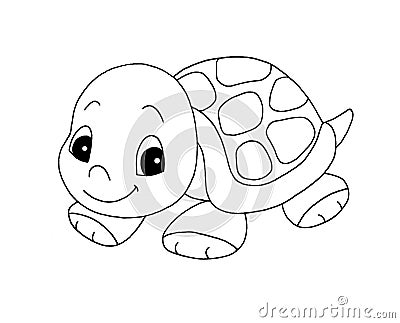 Black and white - cute turtle