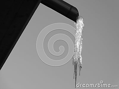 Black and white icicle