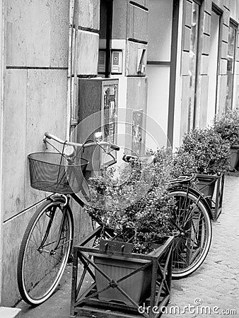 Black and White image of an old Bicycle with a basket in Rome