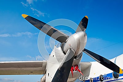 Black wings of an airplane motor in blue sky