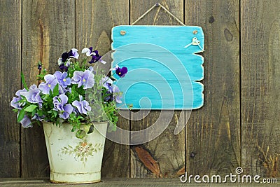 Blank antique blue sign by pot of purple flowers (pansies)