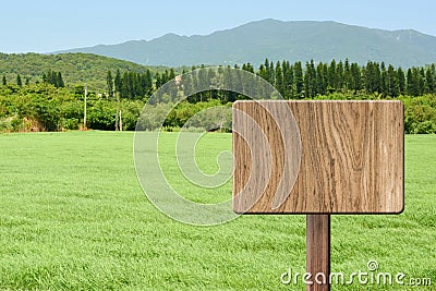 Blank wooden sign