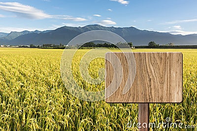 Blank wooden sign