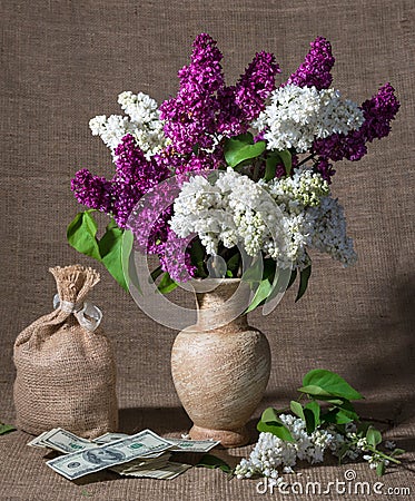 Blooming branches of lilac in vase and dollars