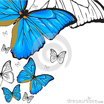 Blue butterflies background