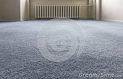 Blue Carpet Floor