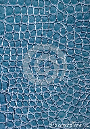 Blue crocodile leather texture