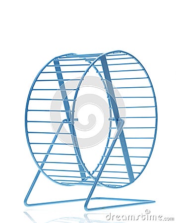 Blue hamster wheel