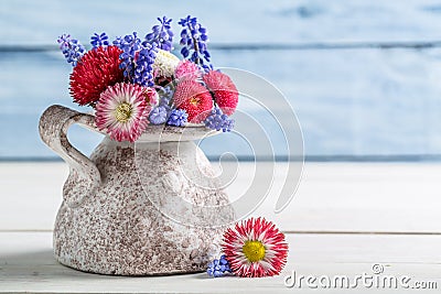 Blue and red daisy flower in vase