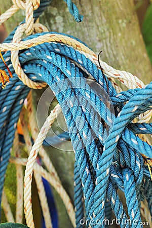 Blue rope tied to a piece of old wood.