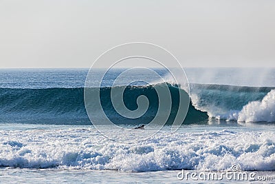 Blue Wave Wall Crashing Surfer Paddling