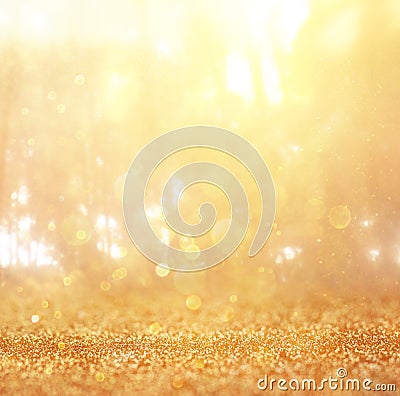 Blurred abstract photo of light burst among trees and glitter bokeh lights