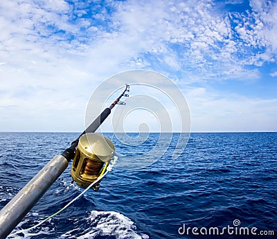 Boat fishing rods