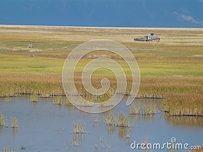 Boat on marsh or wetland
