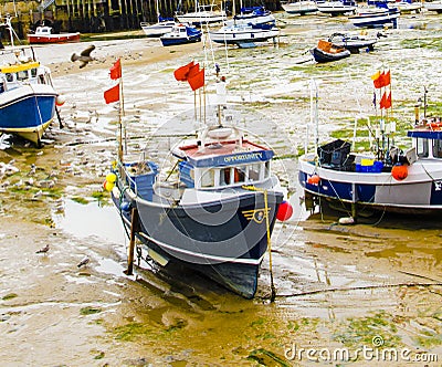 Boat Named Opportunity Stuck in the Mud