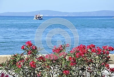 Boat, sea and flowers