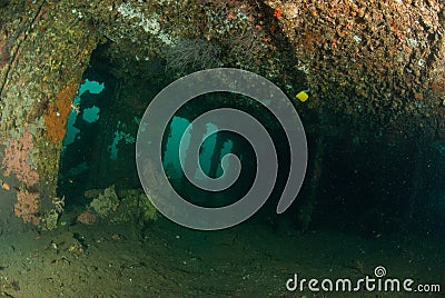 Boat wreck in Ambon, Maluku, Indonesia underwater photo