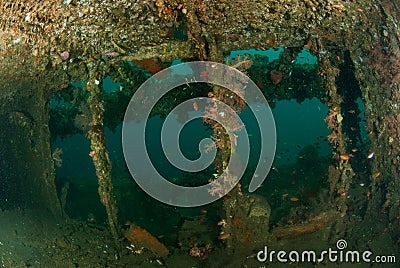 Boat wreck in Ambon, Maluku, Indonesia underwater photo