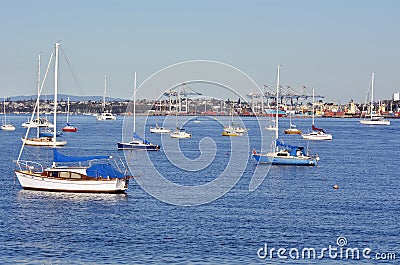 boat graphics auckland boats mooring in waitemata harbour new zealand editorial boat graphics auckland boats mooring in waitemata harbour new zealand editorial