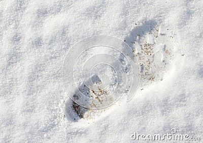 Boot print in fresh snow