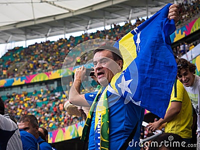 Bosnia and Herzegovina Fan Celebrating Victory Against Iran at World Cup Match