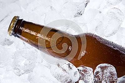 Bottle of Beer on Ice