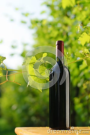 Bottle of red wine in vineyard