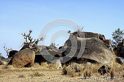 Boulders in Savanna landscape