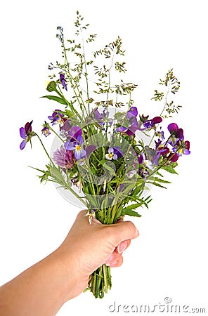 Bouquet de fixation de main des fleurs