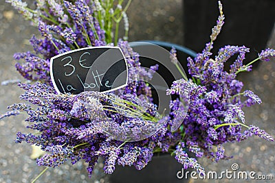 Bouquet of lavender sold in the market in Provence, France.