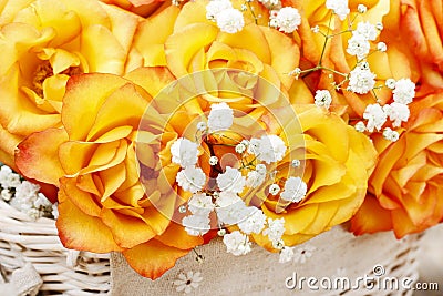 Bouquet of orange roses, copy space