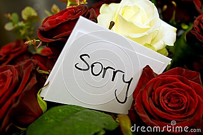 bouquet-roses-apology-card-7781397.jpg