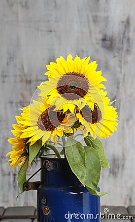 Bouquet of sunflowers, copy space