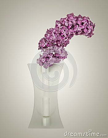 Bouquet of violet lilac in a vase