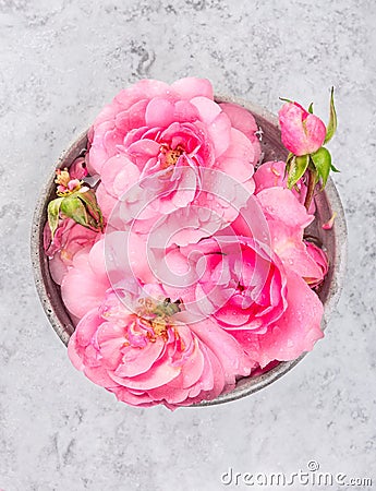 Bowl with pink roses and water on gray marble table