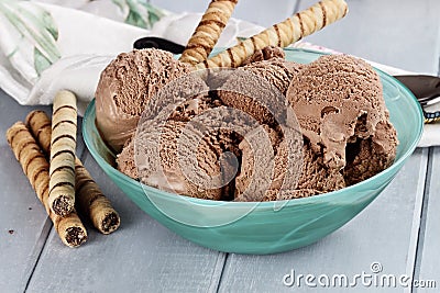 Bowl of Rich Dark Chocolate Ice Cream