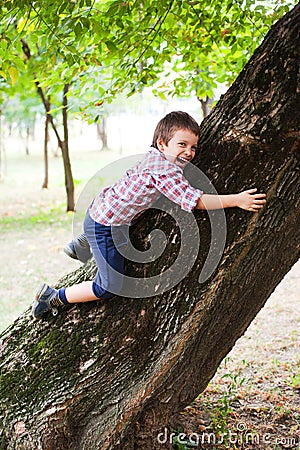 Climbing tree