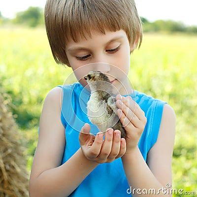 Boy cute hugs chiken in hand nature summer outdoor