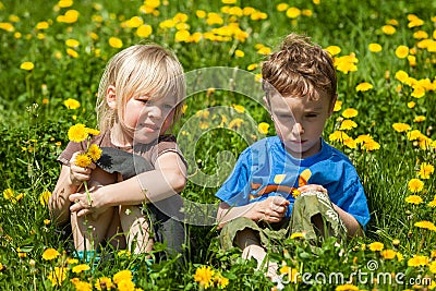 Boy giving flowers for a girl