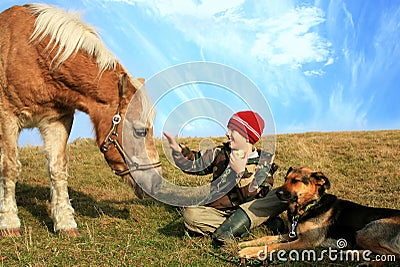 Boy, horse and dogs
