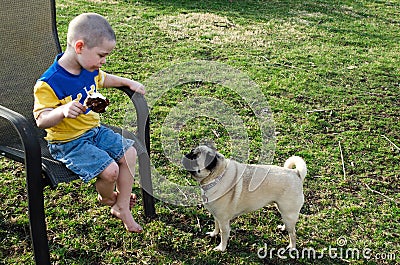 Boy ice cream and pug dog