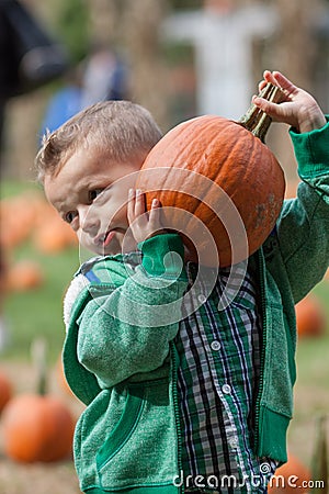 Boy pumpkin picking