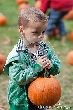 Boy pumpkin picking