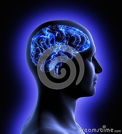 Brain Activity Royalty Free Stock Image - Image