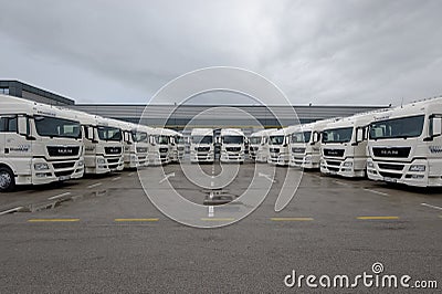 Brand new trucks parked for delivery to a client